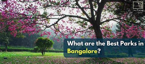 What are the best parks in Bangalore?