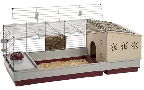 Guinea Pig Cage Size Guide - The Best Homes For Guinea Pigs