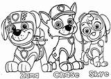 Zuma Chase And Skye coloring Page  Drukuj Kolorowankipl sketch template