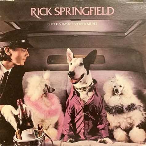 Pin by Roy Vieregge on Album Covers | Rick springfield, Album covers, Springfield