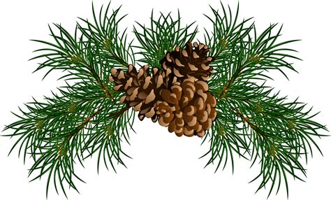 Christmas Evergreen Bough Side Bar Clipart / Download 6 christmas bough ...