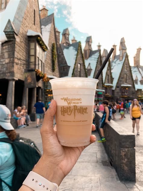 19 Tips for Visiting the Wizarding World of Harry Potter - Little Spice Jar