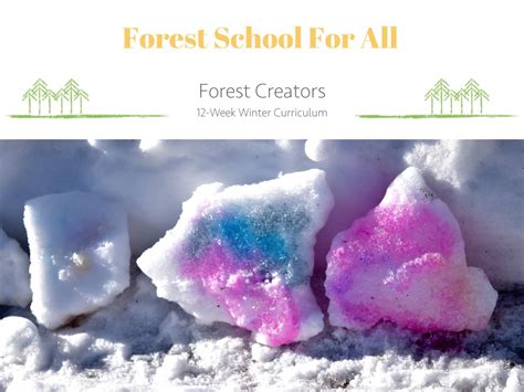 Curriculum - Forest School For All