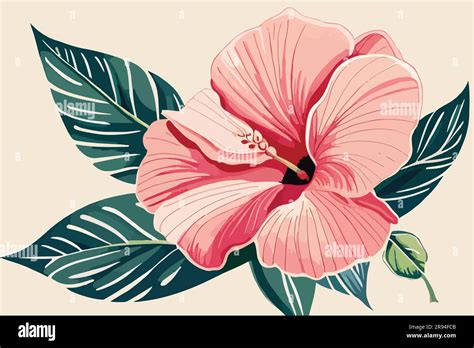 hibiscus flower watercolor art Stock Vector Image & Art - Alamy