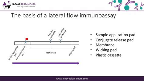 A guide to lateral flow immunoassay development