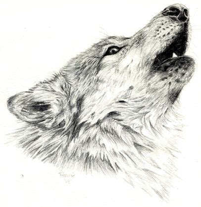 Resultado de imagen para dibujos realistas de lobos | Wolf drawing ...