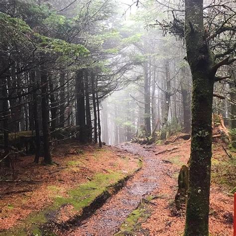 Mount Mitchell State Park in North Carolina - Park Review and Photos