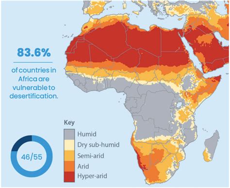 Desertification in Africa: Causes, Effects and Solutions | Earth.Org