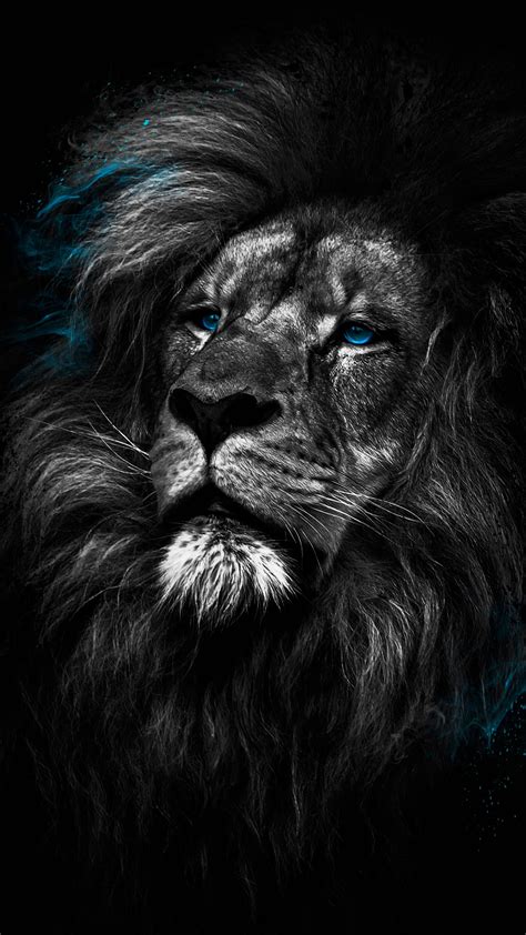 Black Lion Wallpaper 4K