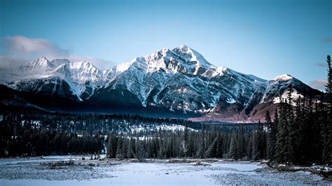 mountains, peaks, snow, snowy, forest, 4k HD Wallpaper