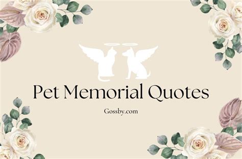 40 Sentimental Pet Memorial Quotes & Sayings that Erase the Pain