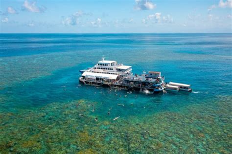 Cairns Snorkelling Tours - How to see the Great Barrier Reef