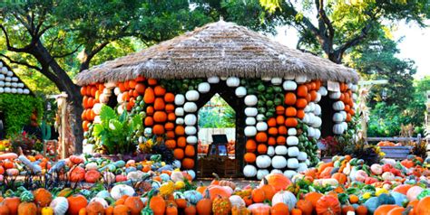 A Perfect Fall Day at the Arboretum - Dallas Arboretum and Botanical Garden Blog