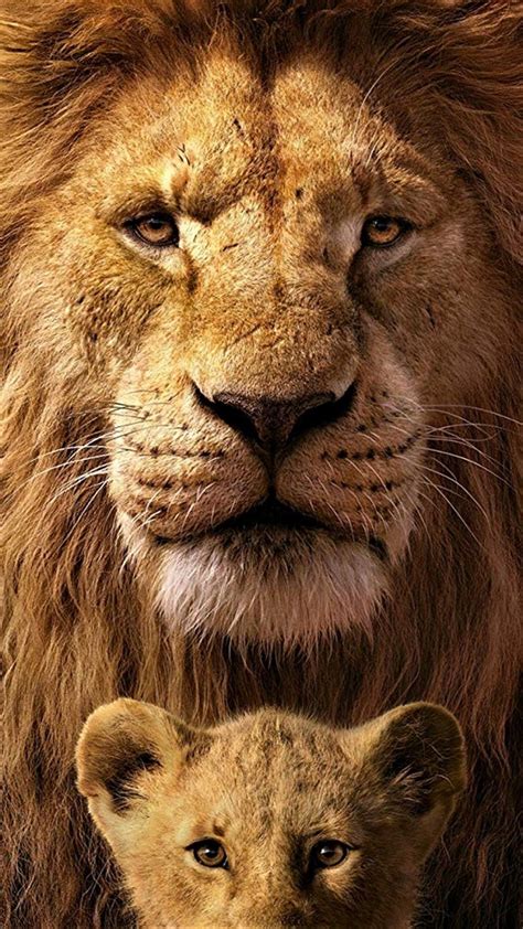 Lion And Family Wallpapers - Wallpaper Cave