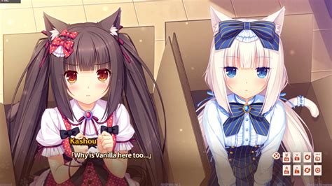 Nekopara Vol.1 Gameplay - First Look - YouTube