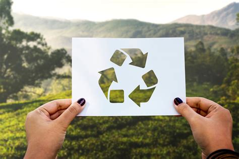 Blog | 5 Advantages of Recycling Paper