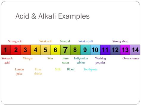 PPT - Acid & Alkali Hazards PowerPoint Presentation, free download - ID:1704454