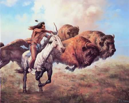 Bison or Buffalo & Native Americans