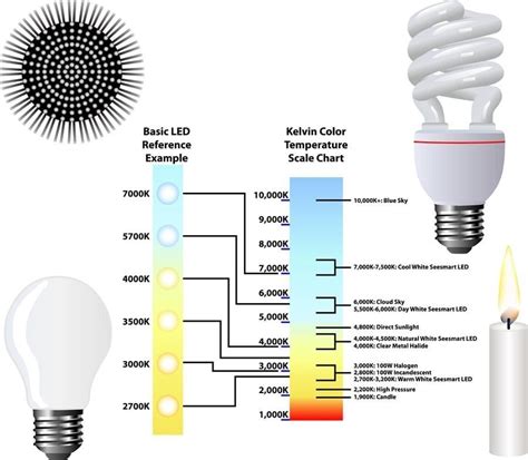 19 Types of Light Bulbs and Why You Should Care