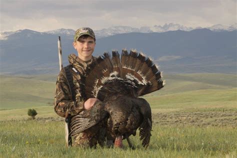 Tips for Killing a Hung-up Gobbler | OutdoorHub