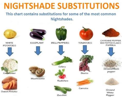 Are Vegetables From The Nightshade Family Bad For Dogs