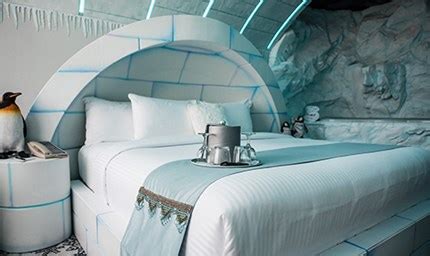 Modern Igloo Room