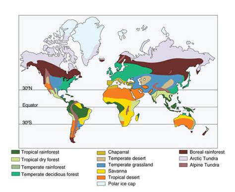 Terrestrial Biomes ( Read ) | Biology | CK-12 Foundation