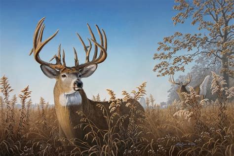 Deer Art | Deer painting, Deer pictures, Hunting art