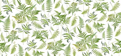 Fern Green - Wall Mural & Photo Wallpaper - Photowall | Personalized ...