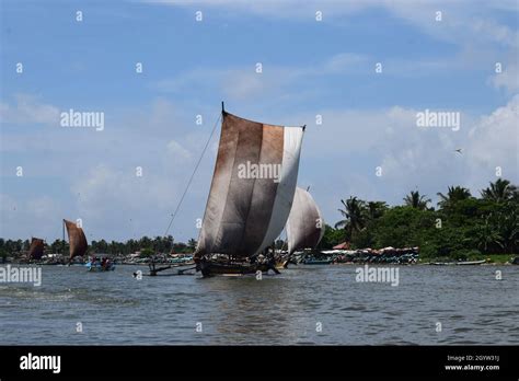 Negombo lagoon journey Stock Photo - Alamy