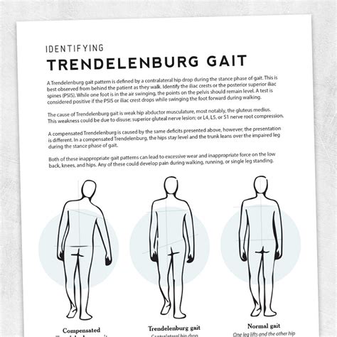 Trendelenburg Gait Pattern