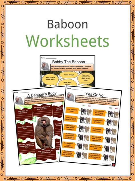 Baboon Facts, Worksheets, Habitat, Behaviour, Life Cycle & Diet For Kids