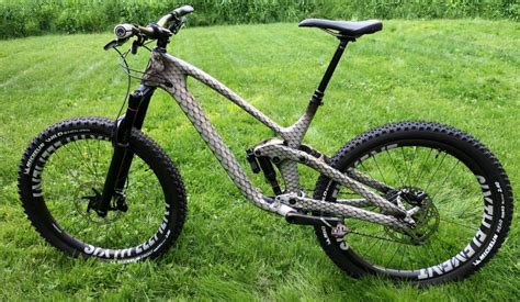 MTB-MAG.COM - Mountain Bike Magazine | Custom Snake Painted Kona ...