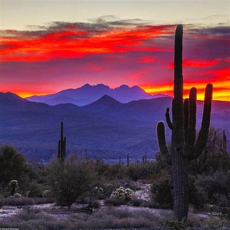 Mike C Petzer ~ Nothing like an Arizona sunset! 🎈 Beautiful Sunset, Beautiful World, Beautiful ...