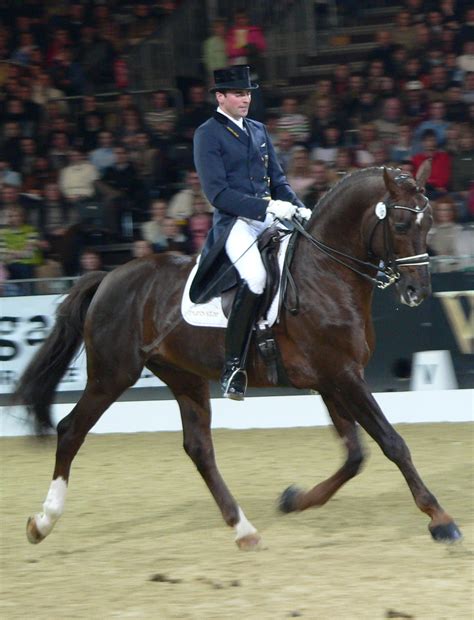 Dressage - Wikipedia