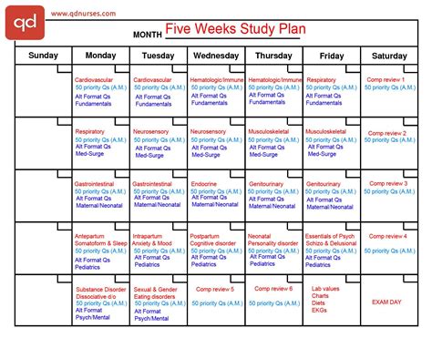 Nclex Study Calendar Template - Printable Word Searches