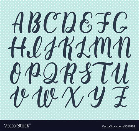 Hand drawn latin calligraphy brush script Vector Image