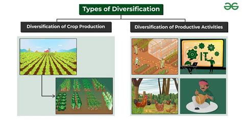 Agricultural Diversification: Needs, Benefits and Types - GeeksforGeeks