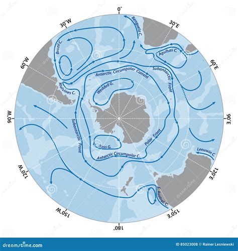 Map Of The Antarctic Circumpolar Current Vector Illustration | CartoonDealer.com #85023008