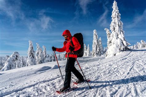 Top 10 Winter Activities to Explore in Canada | Arrive