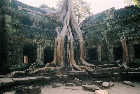 Cambodia | Art inspiration, Art, Inspiration