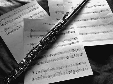 Best 5 Flute on Hip, magic flute HD wallpaper | Pxfuel