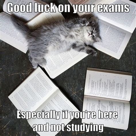 Good luck on your exams - 9GAG