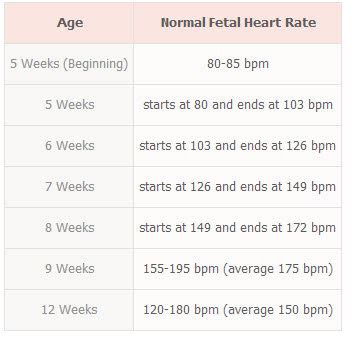 Fetal Heart Rate Chart - BabyCenter