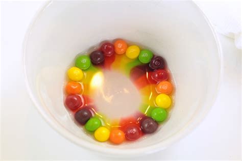 Skittles Rainbow Science Experiment - Raising Lifelong Learners