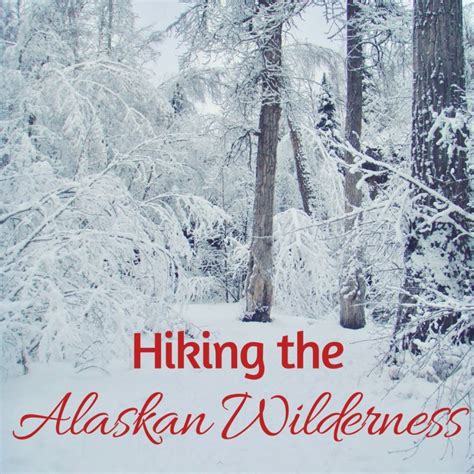 Hiking the Alaskan Wilderness - Quick Whit Travel