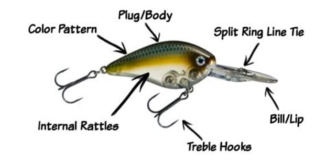 What is a Crankbait? Types & Bill Shapes Explained ⋆ Tackle Scout