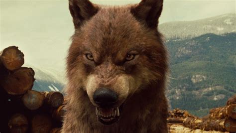 Breaking Dawn Effects Artists Talk Bringing The Wolves To Life in 2023 ...