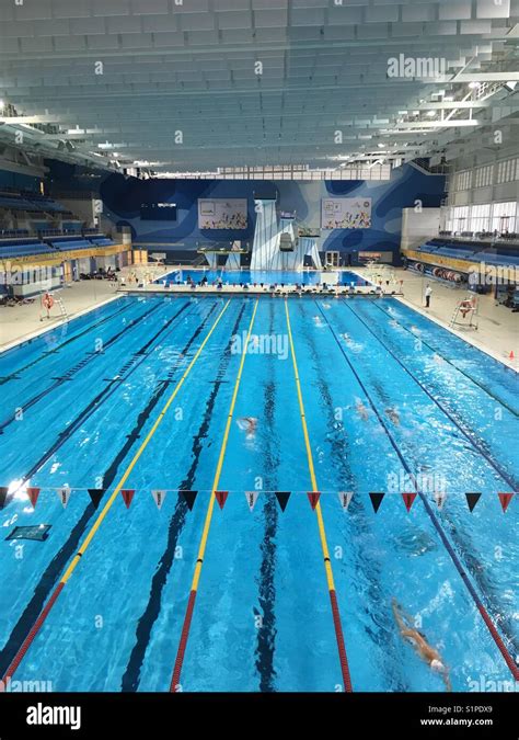 Swimming Pool, Pan Am Sports Center, Toronto, Canada Stock Photo - Alamy