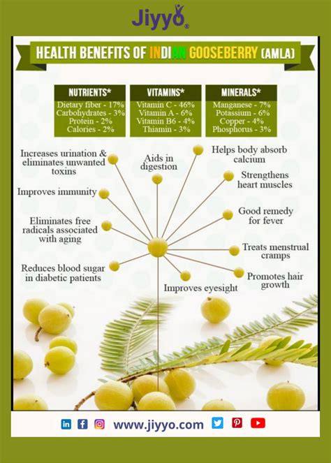 Health Benefits of Indian Gooseberry(Amla) in 2021 | Health, Amla ...